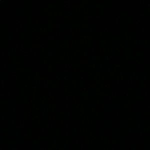 Meet your Posher, Colleen